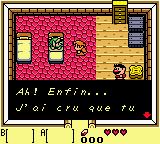 Legend of Zelda, The - Link's Awakening DX (France) In game screenshot